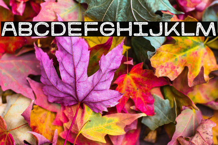 kitestrings stamp Regular Example 2