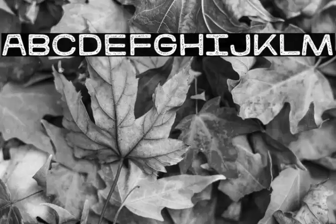 kitestrings stamp Regular Font examples