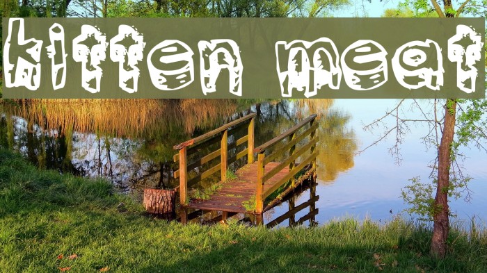kitten meat Font examples