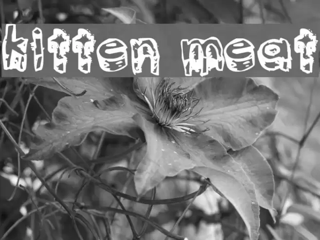 kitten meat Font examples