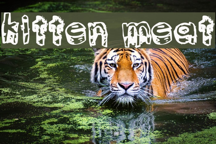 kitten meat Font examples