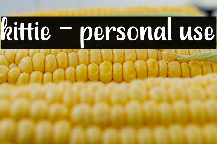 kittie - personal use Example 2