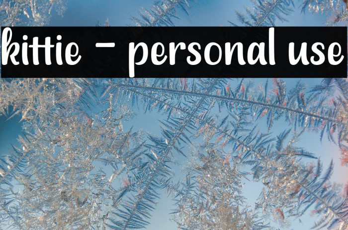 kittie - personal use Example 3