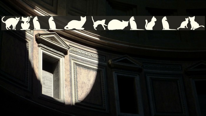 kitty cats tfb Example 2