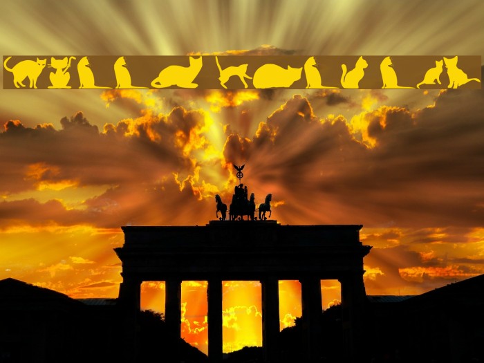 kitty cats tfb Example 3