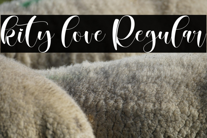 kity love Regular Example 3