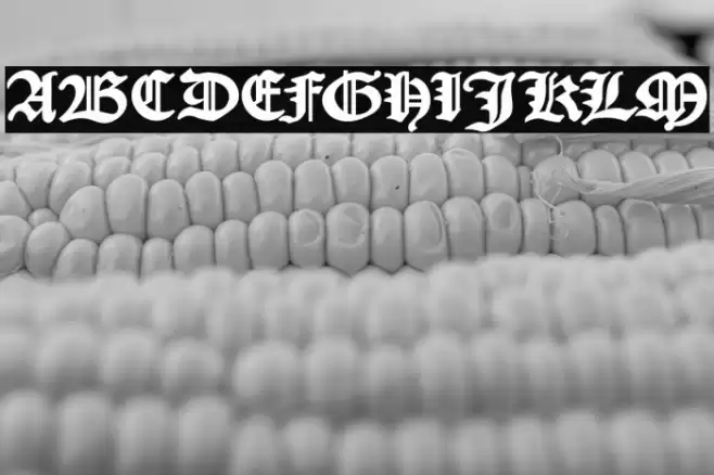 KJV 1611 Font examples