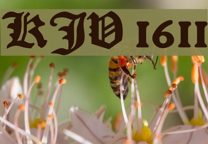 KJV 1611 Font examples