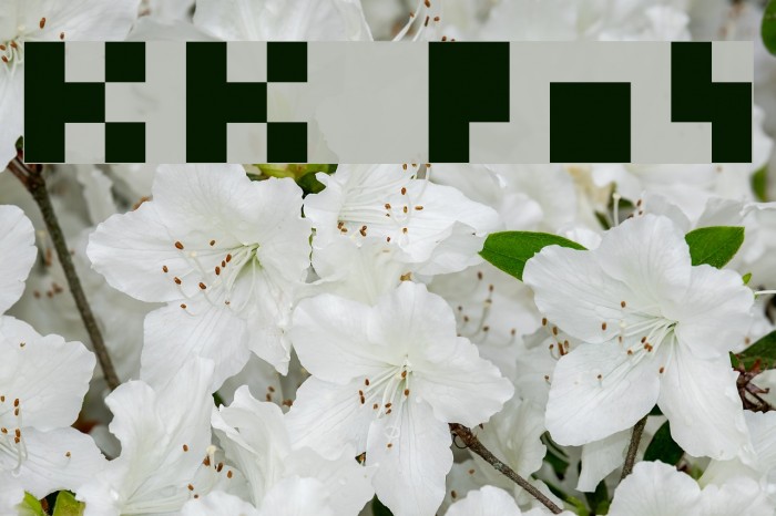 KK Px4 Font examples