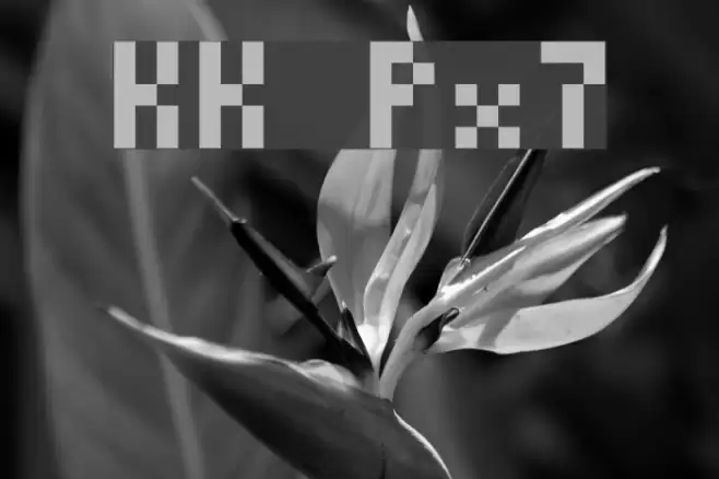 KK Px7 Font examples