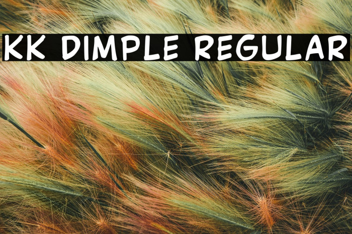 Kk Dimple Regular Example 1