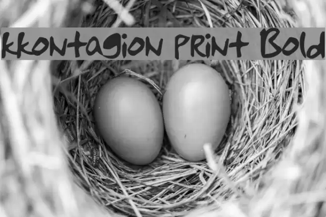 kkontagion print Bold Font examples