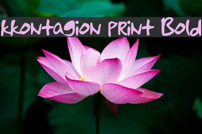 kkontagion print Bold Example 3