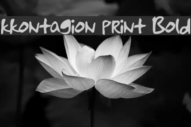 kkontagion print Bold Font examples