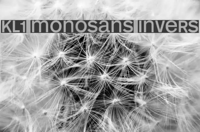 KL1 MonoSans Invers Schriftart examples