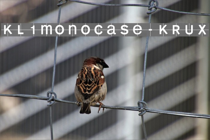 KL1MonoCase-Krux Font examples