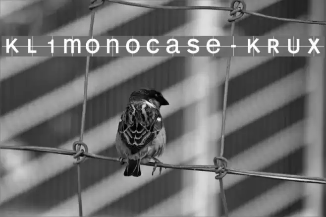KL1MonoCase-Krux Fuentes examples