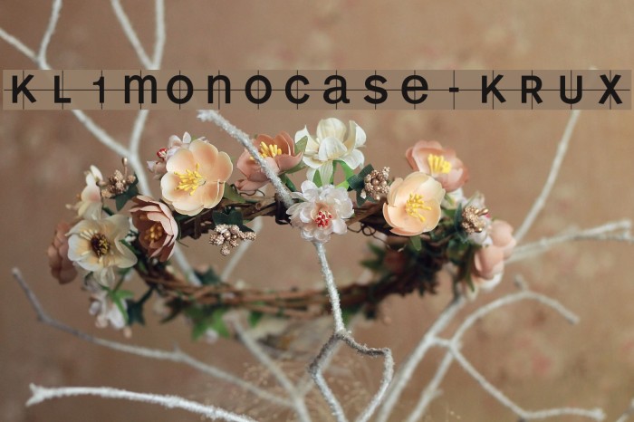KL1MonoCase-Krux Font examples