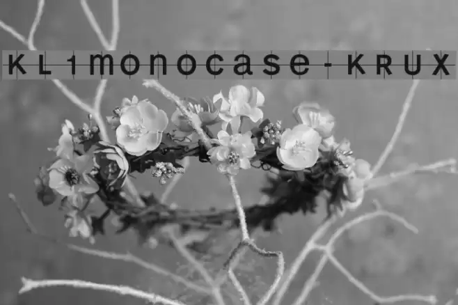 KL1MonoCase-Krux Fuentes examples
