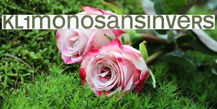 KL1MonoSansInvers Font examples