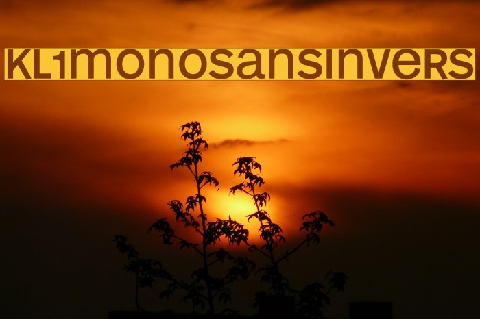KL1MonoSansInvers Font examples