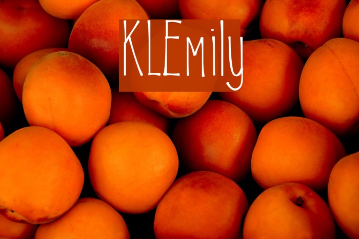 KLEmily Font examples