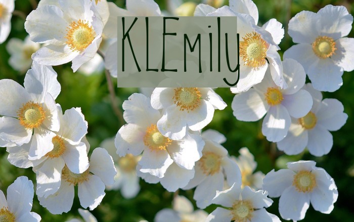 KLEmily Font examples