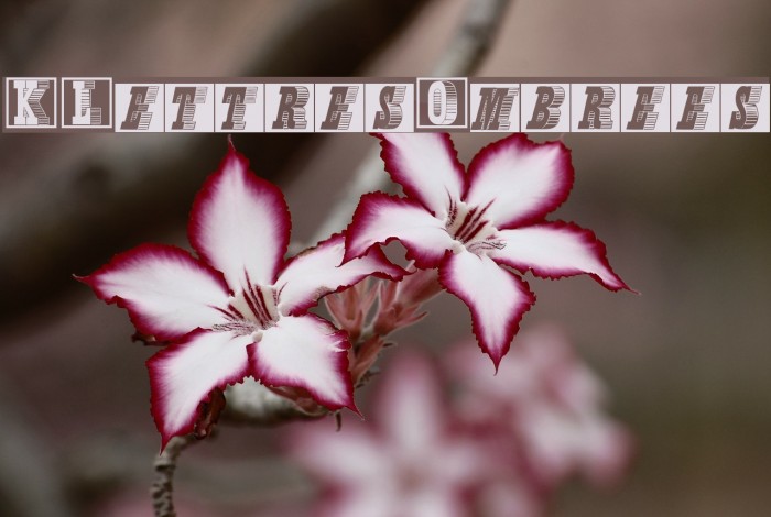 KLettresOmbrees Example 1