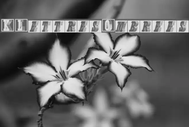 KLettresOmbrees Font examples