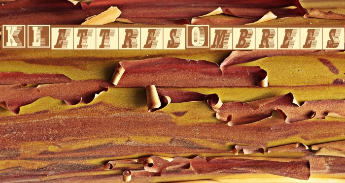 KLettresOmbrees Example 2