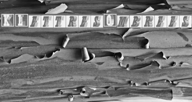 KLettresOmbrees Font examples