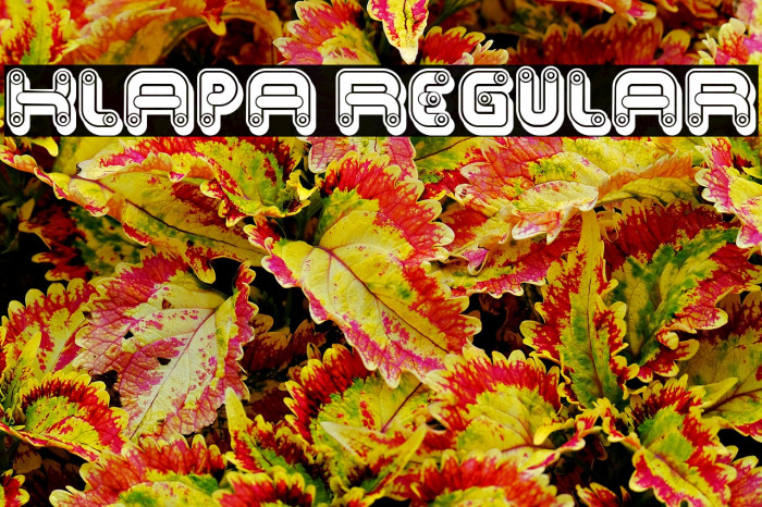 Klapa Regular Example 3