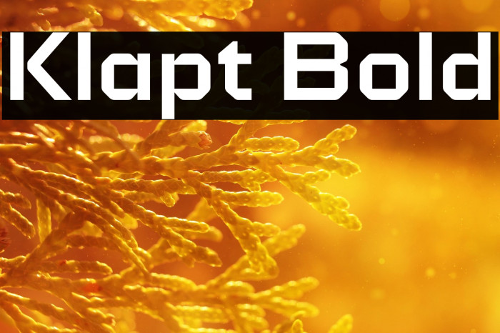 Klapt Bold Example 2