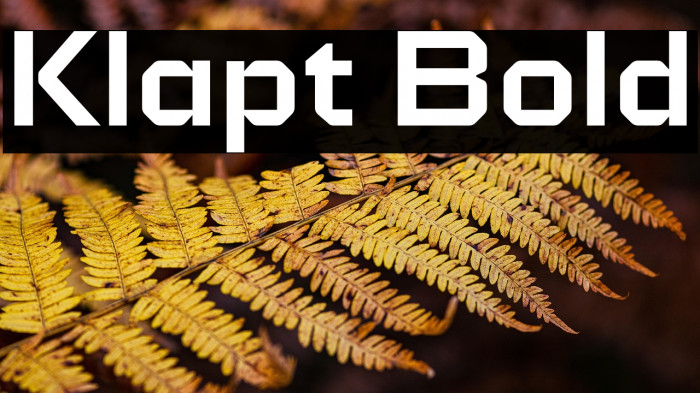 Klapt Bold Example 3