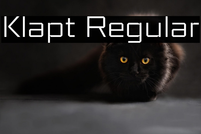 Klapt Regular Example 1