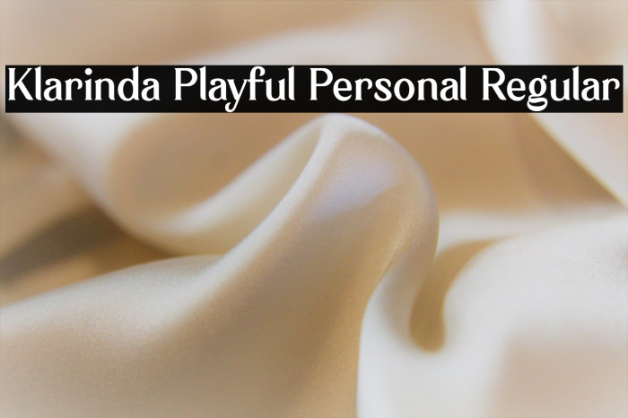 Klarinda Playful Personal Regular Example 2
