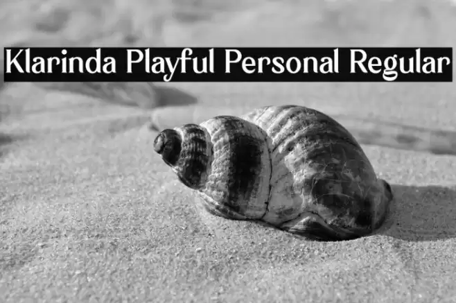 Klarinda Playful Personal Regular Font examples