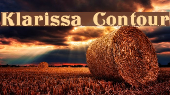 Klarissa Contour Font examples