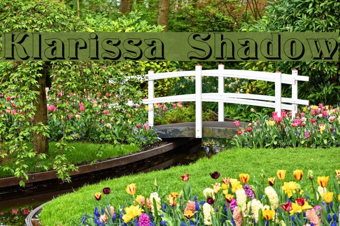 Klarissa Shadow Example 1