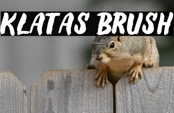 Klatas Brush Example 1