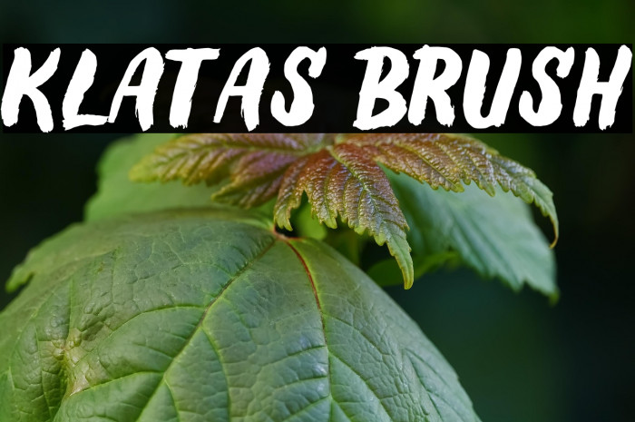 Klatas Brush Example 2
