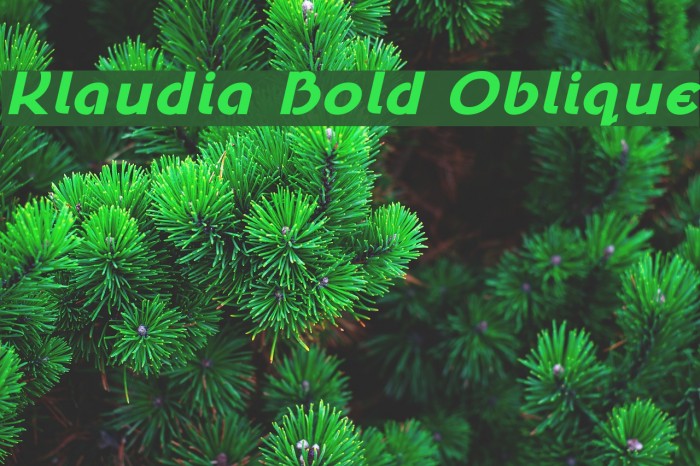 Klaudia Bold Oblique Font examples