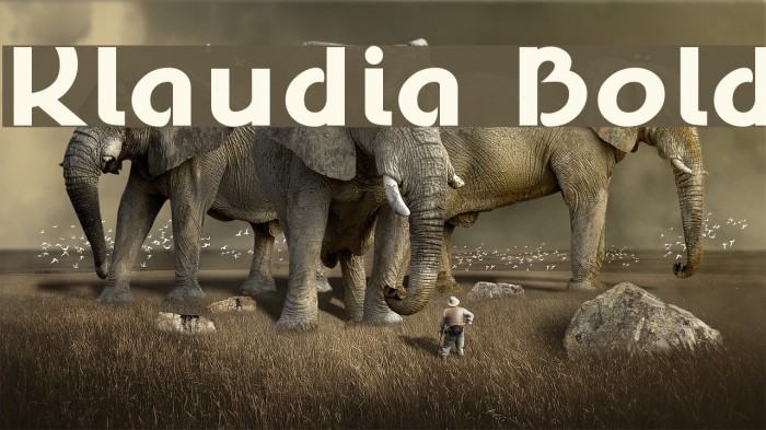 Klaudia Bold Font examples
