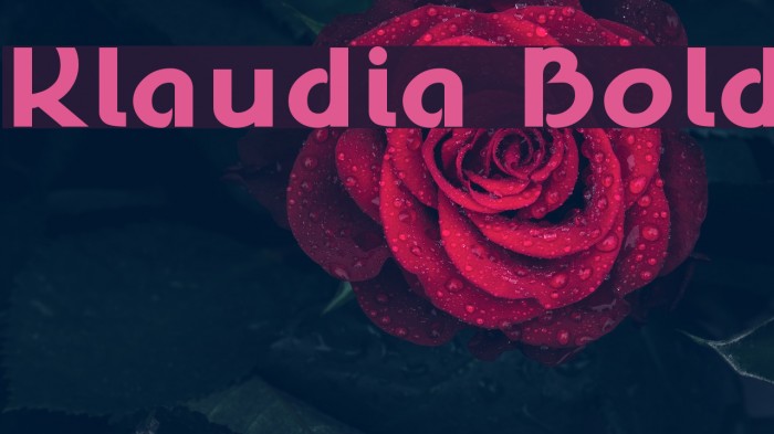 Klaudia Bold Font examples