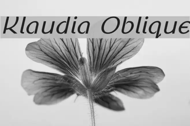 Klaudia Oblique Font examples