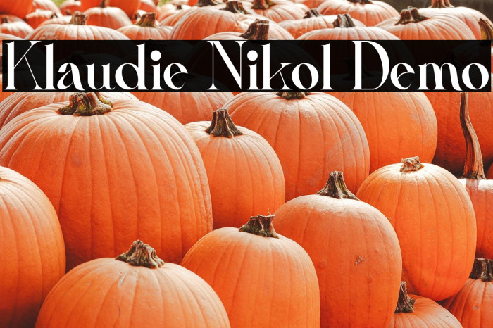 Klaudie Nikol Demo Example 1