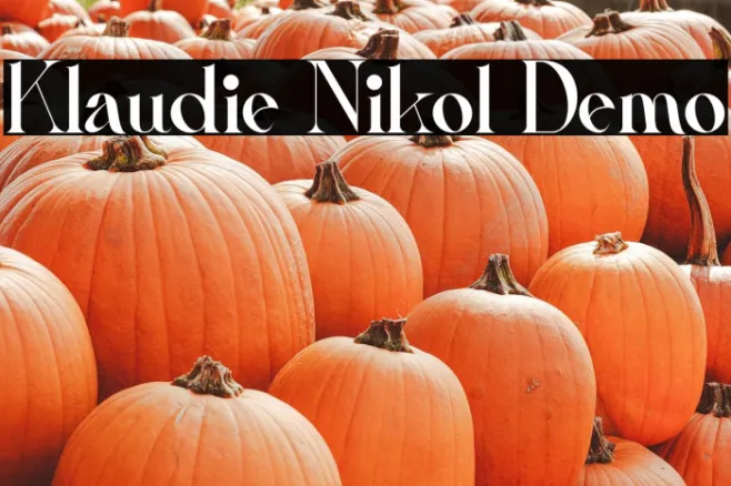 Klaudie Nikol Demo Example 1