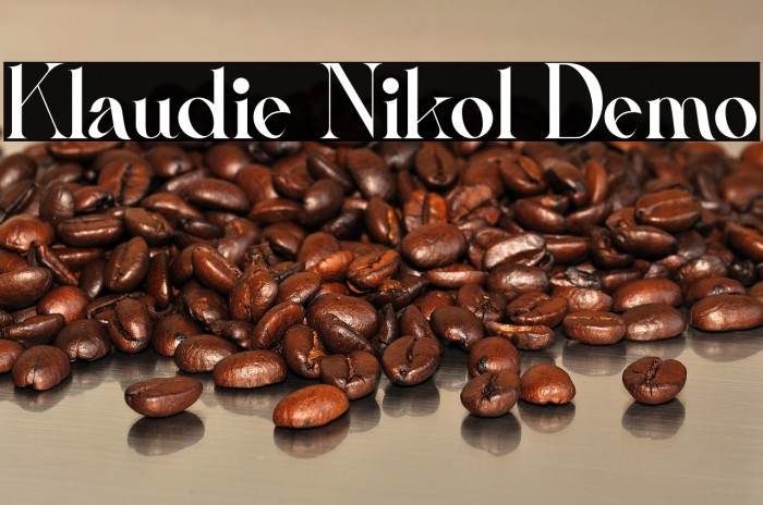 Klaudie Nikol Demo Example 2