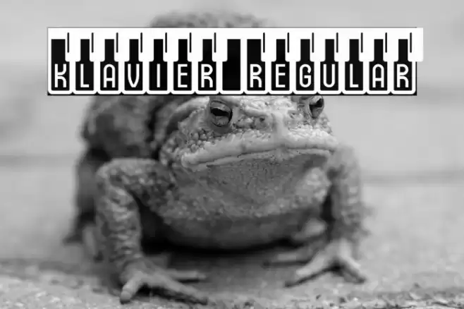 Klavier Regular Font examples