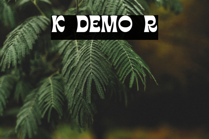 Klear DEMO Regular Example 1
